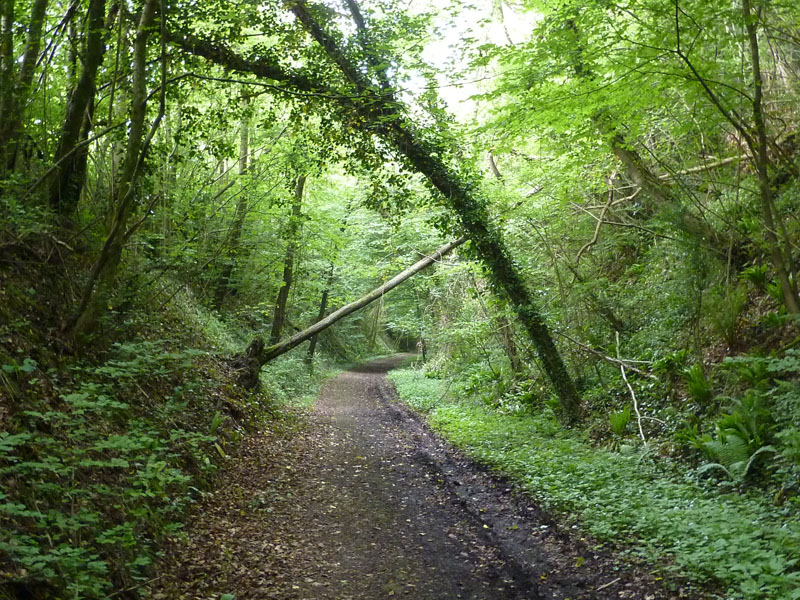 Railway track